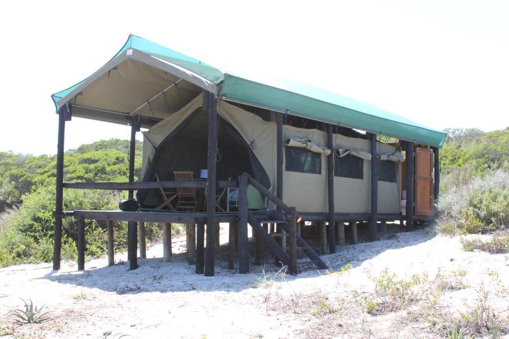 West Coast Luxury Tents Dwarskersbos Экстерьер фото