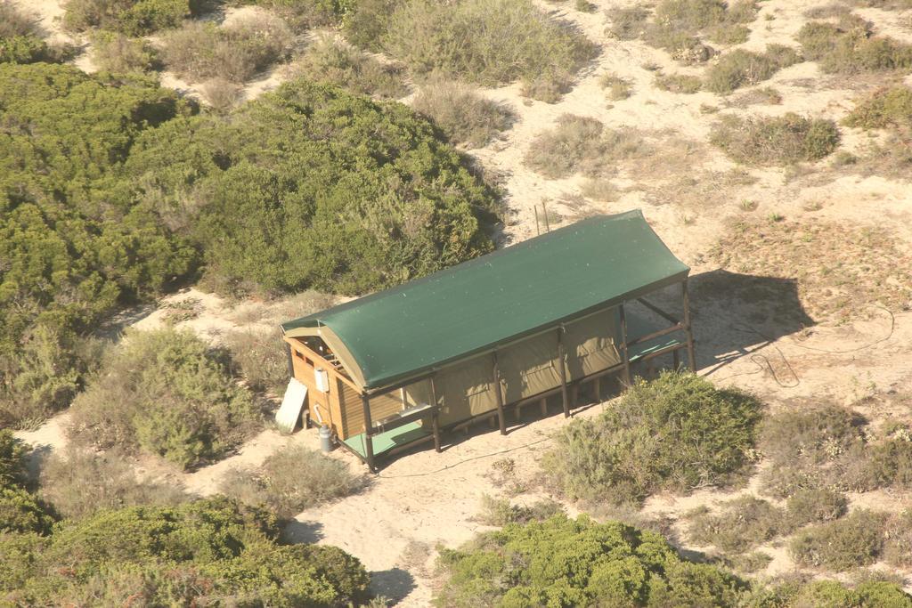 West Coast Luxury Tents Dwarskersbos Экстерьер фото